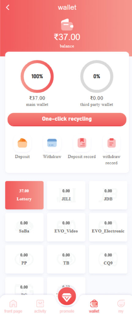 Payment Methods Available at Raja Luck